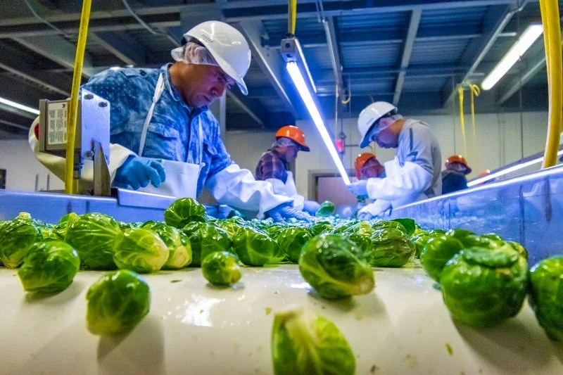 Hitchcock Farms Food Safety and Quality Assurance