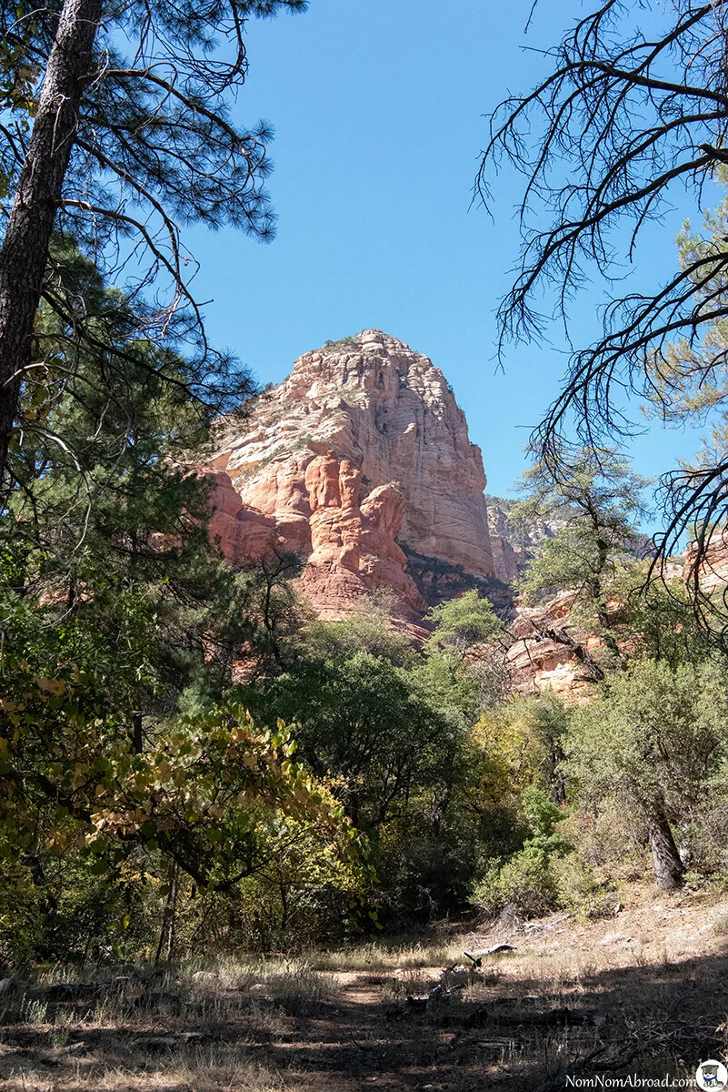 DSC_6068.jpg