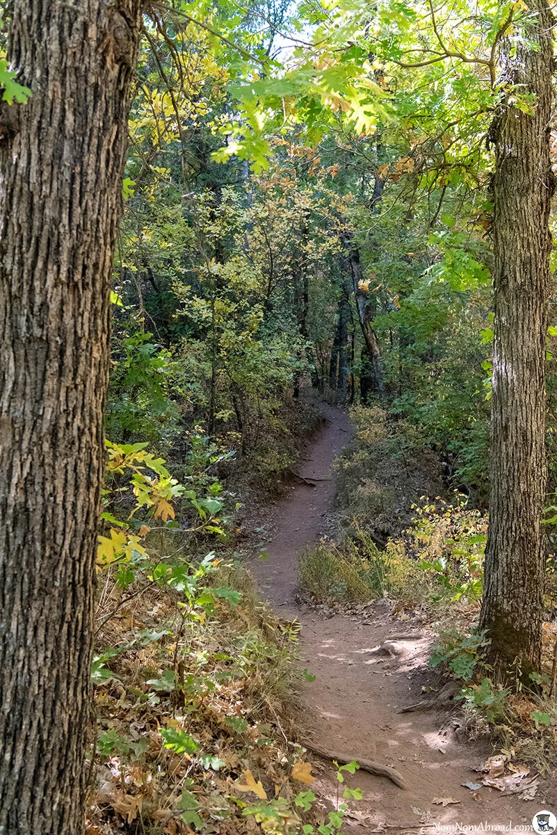 DSC_6090.jpg