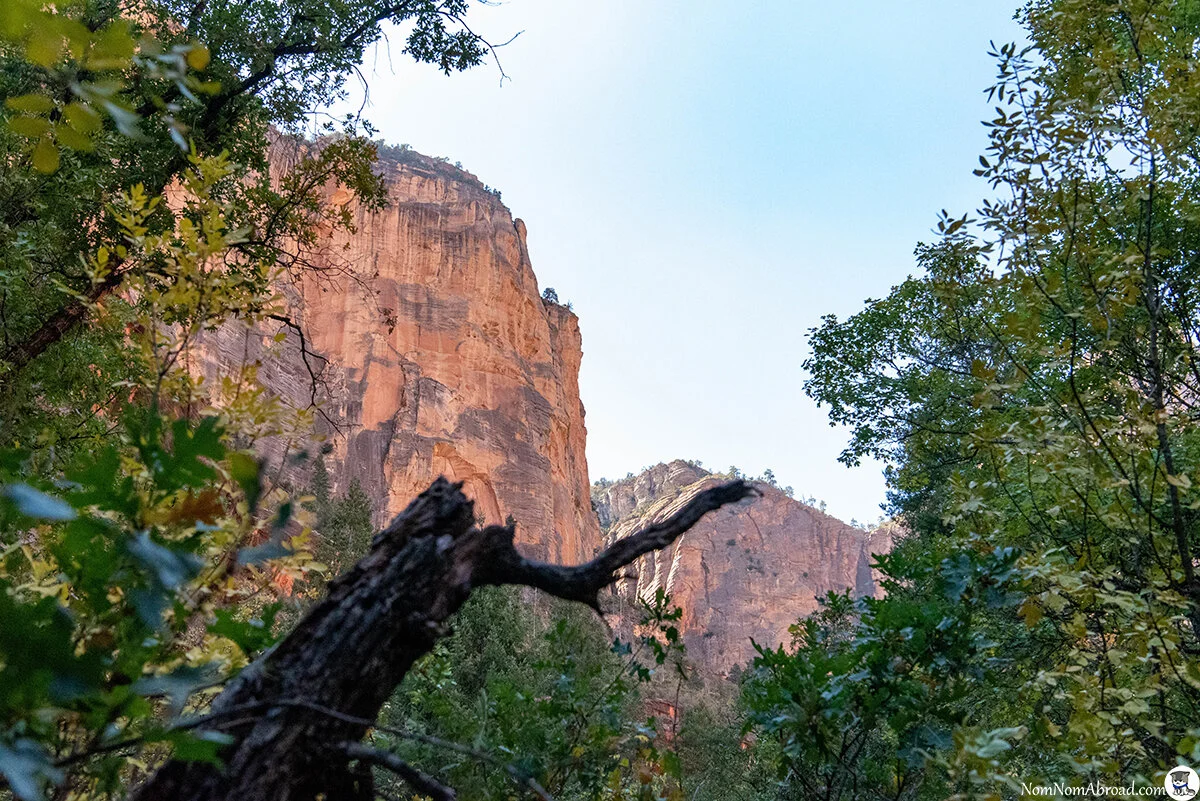 DSC_6101.jpg
