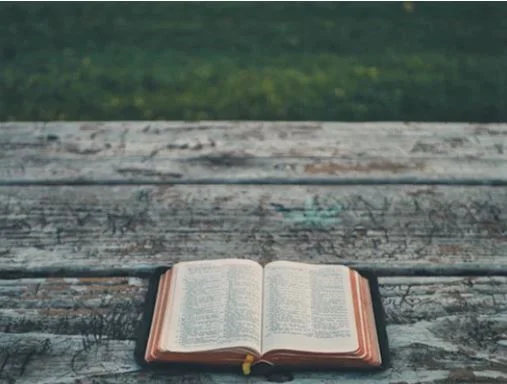 Bible Web Page Contact 2a.jpg