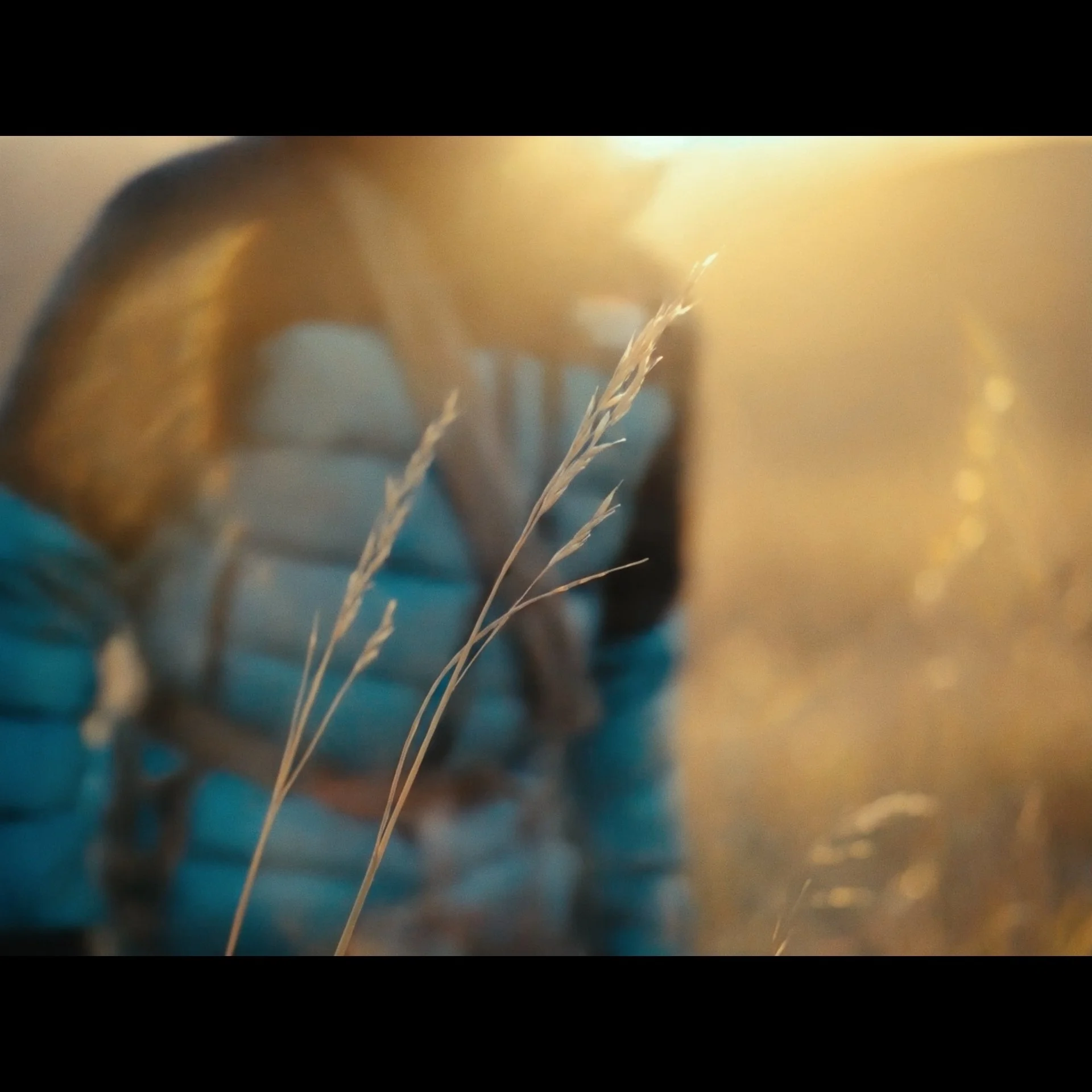North Face Ins_1.15.1.jpg