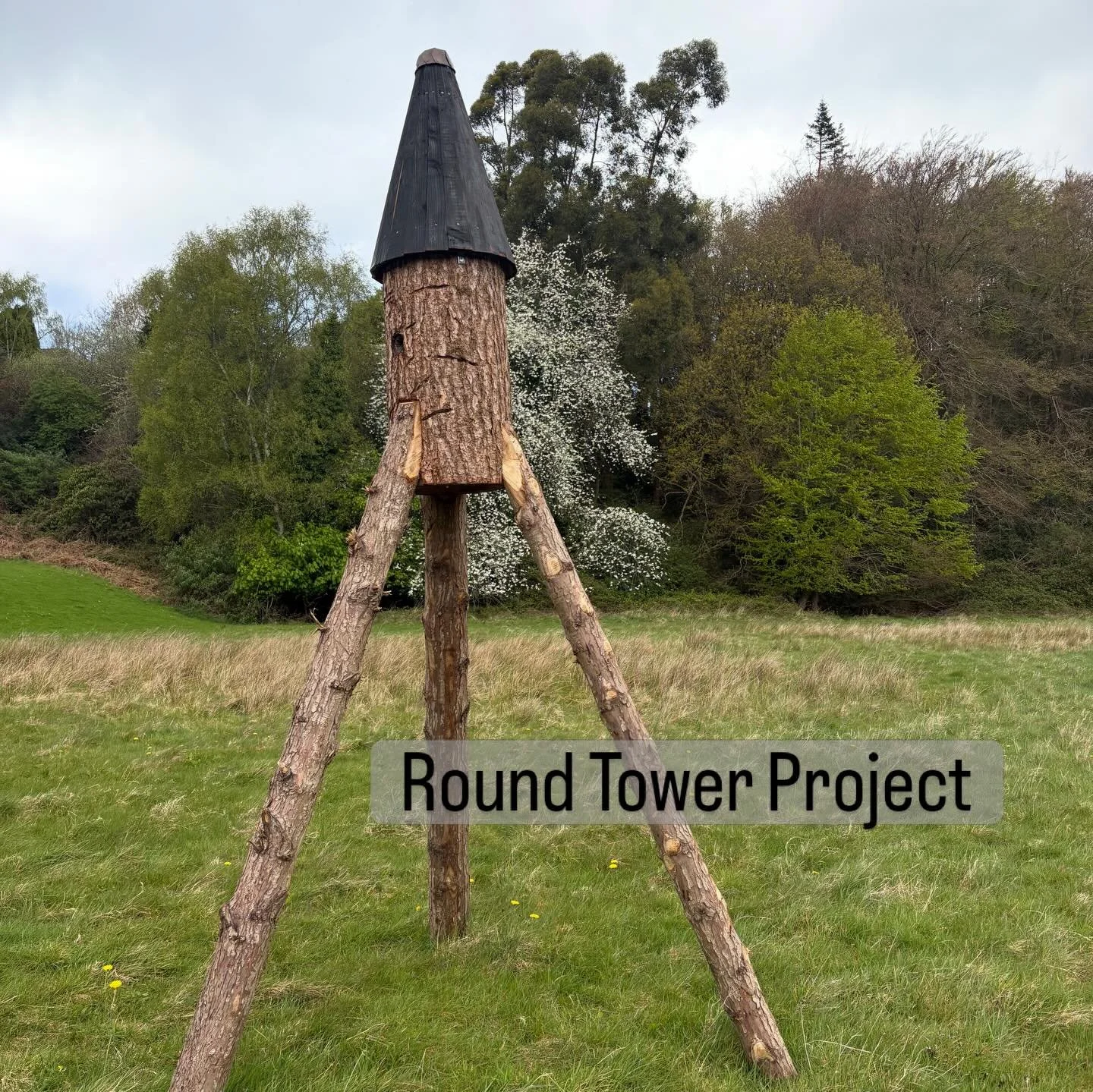 If you have driven down the N11 through the glen of the downs you may have noticed one our our Round Tower Hives.&nbsp;

Across Europe, wild honeybees have now been placed on the red endangered list &mdash; driven largely by the ongoing loss of natur