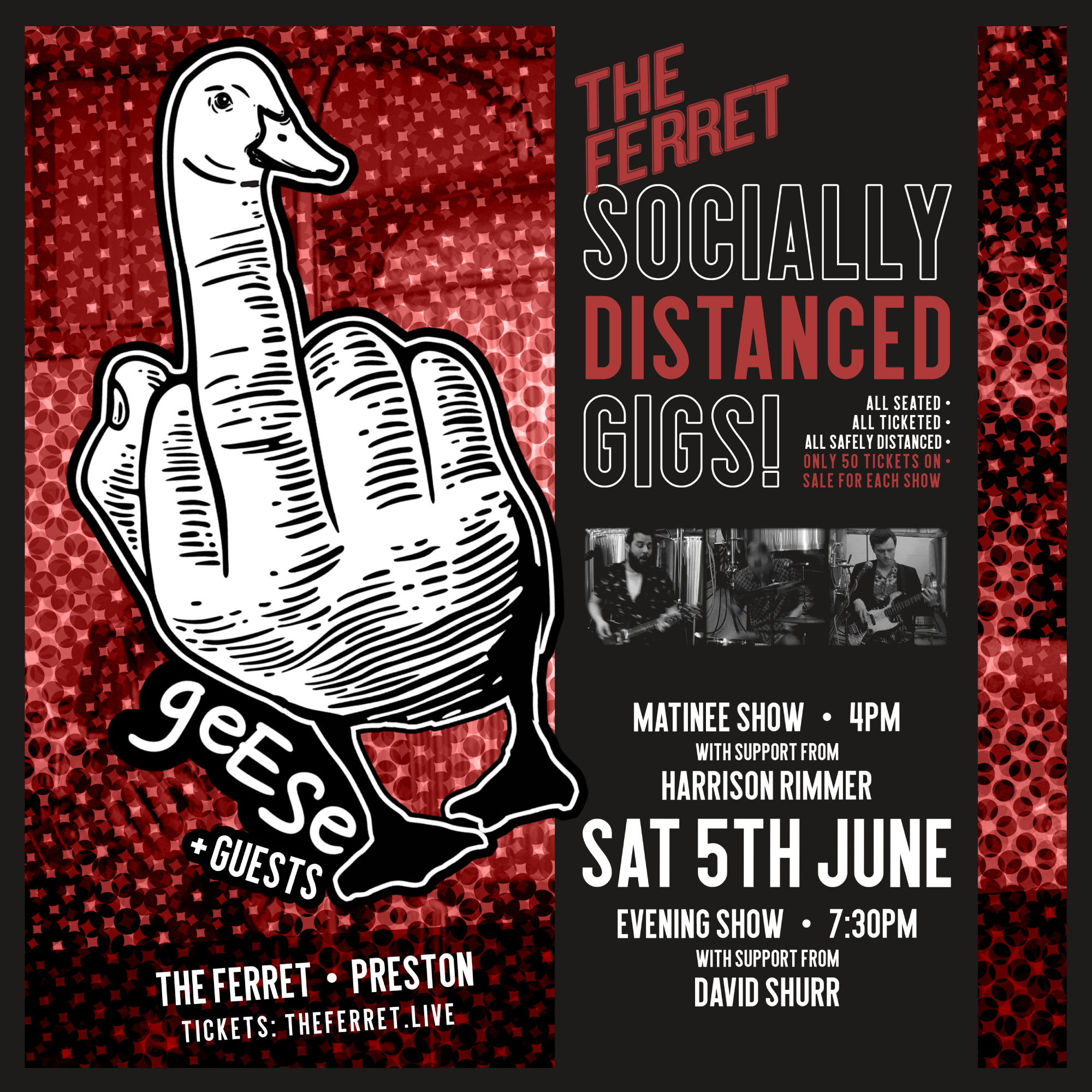 Geese + David Shurr - Socially Distanced Gig - Evening Show