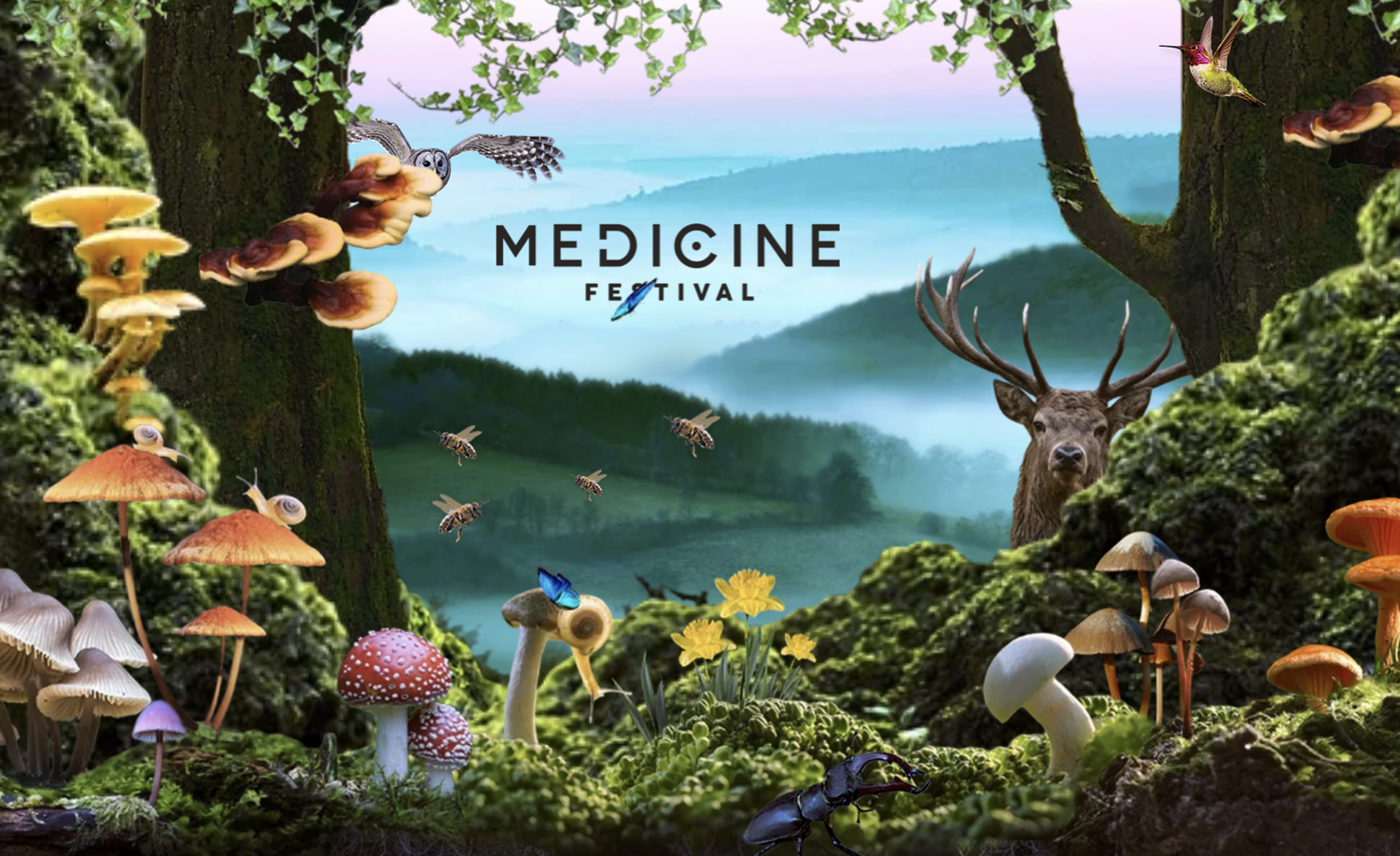 Medicine Festival 2024