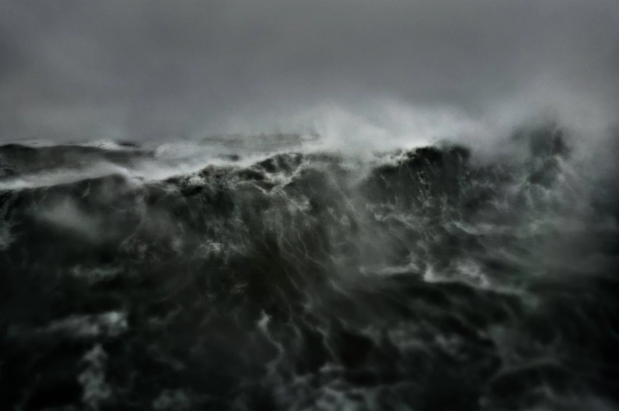 Transcripts_of_a_Sea#009111_PRESS_digi©Stephan_Vanfleteren.jpg