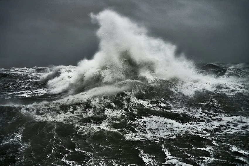 Transcripts_of_a_Sea#127935PRESS©Stephan_Vanfleteren.jpg