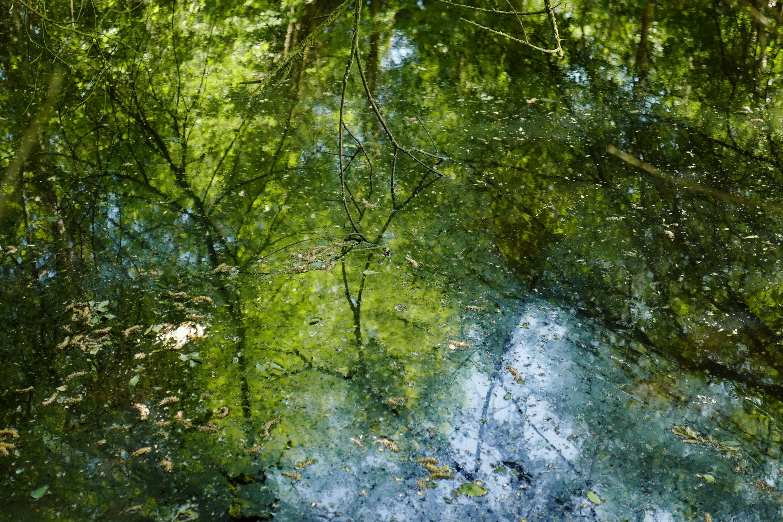Normandie, automne 2018