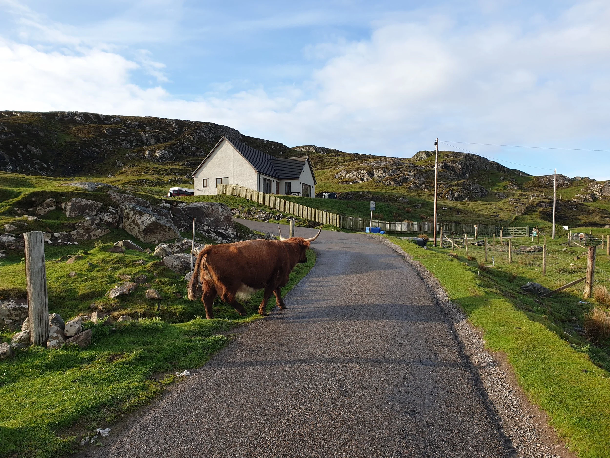 Part 3: Joy and despair riding South
