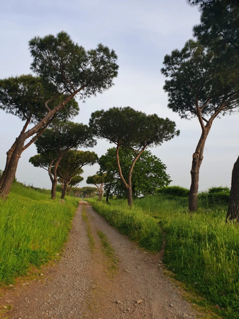 Day 2: One road actually leads to Rome