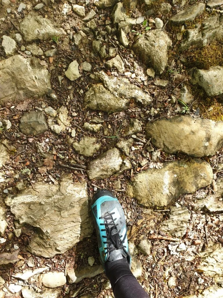 20190427_102310-01-768x1024.jpeg