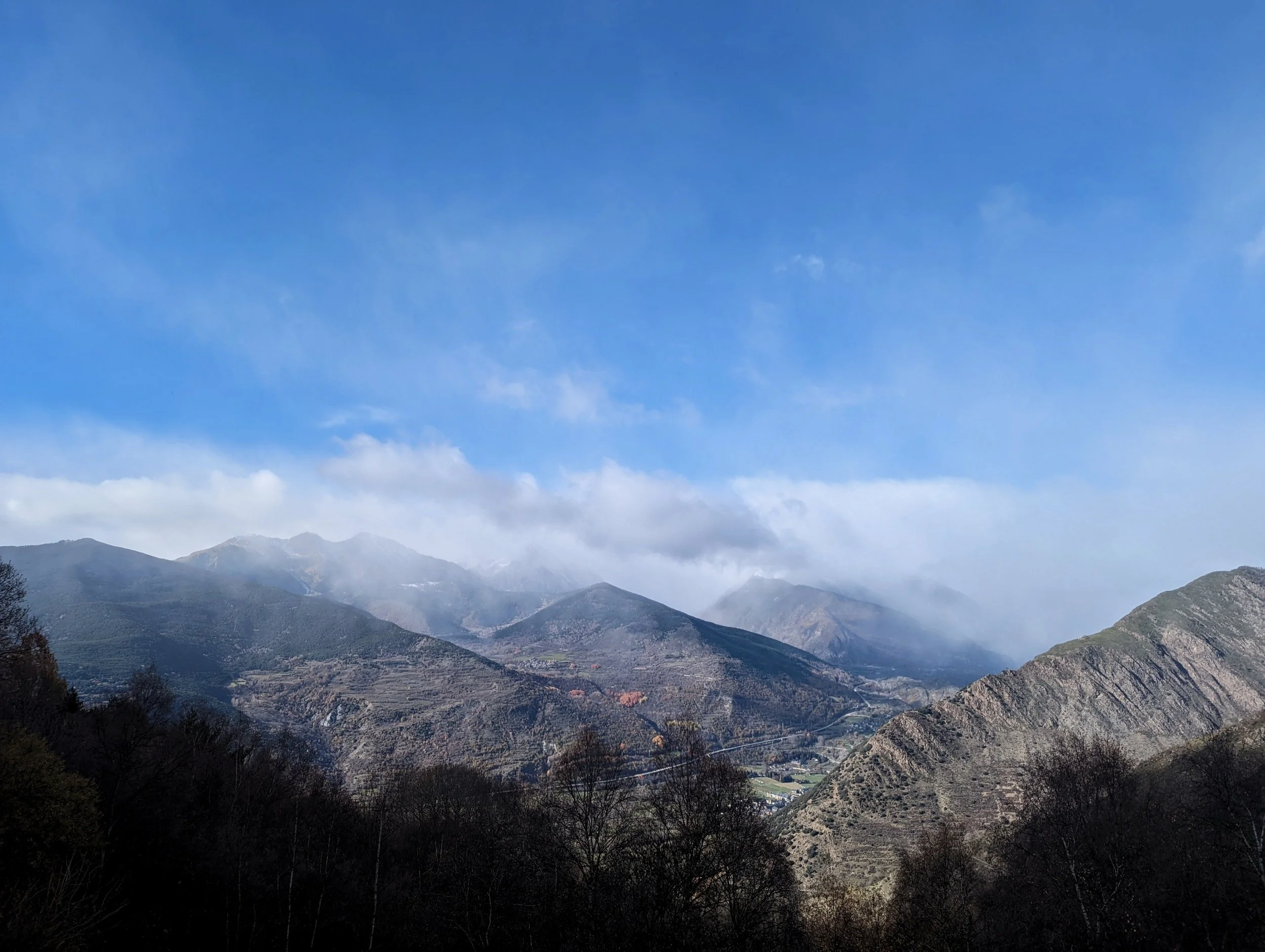 Newsletter 1 / Winter is coming