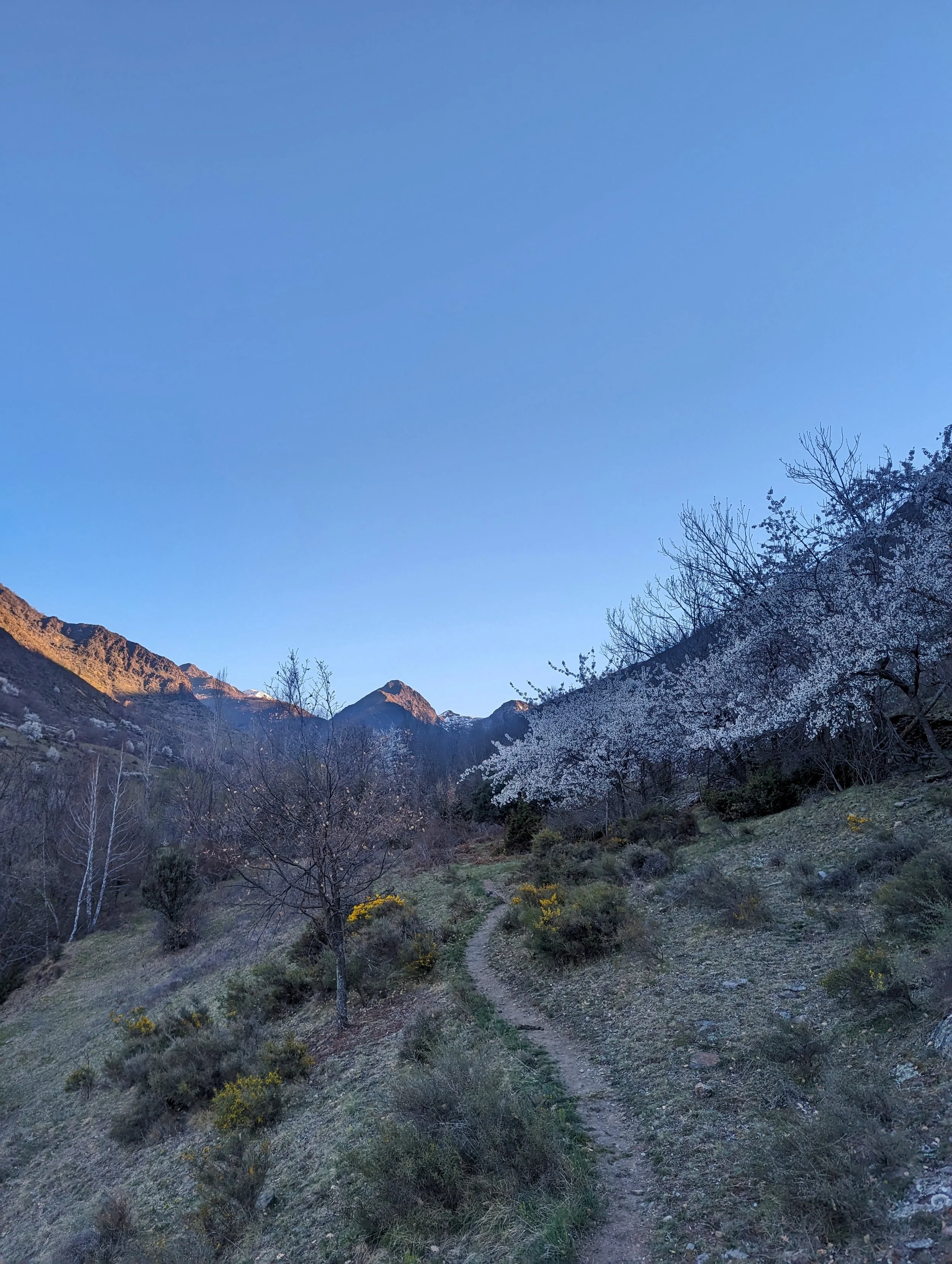 Newsletter 2 / Spring is in the air 