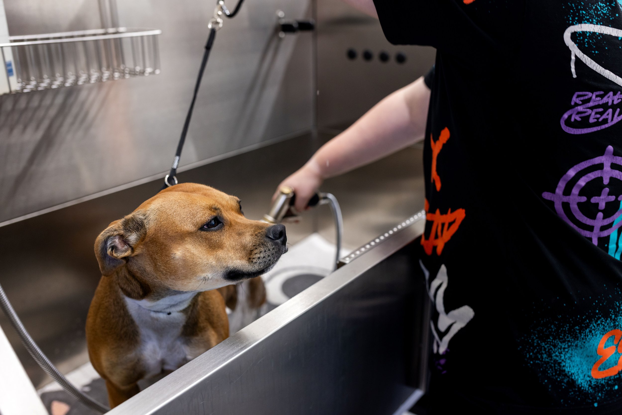 Tveit vgs HUND_ 250521-58 (1).jpg