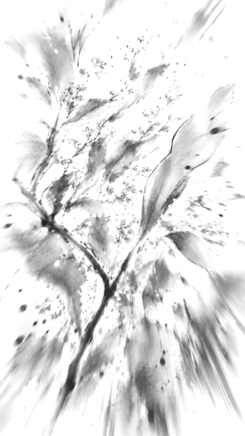a628940e-5b97-4378-9145-571c5b2c64fb.png