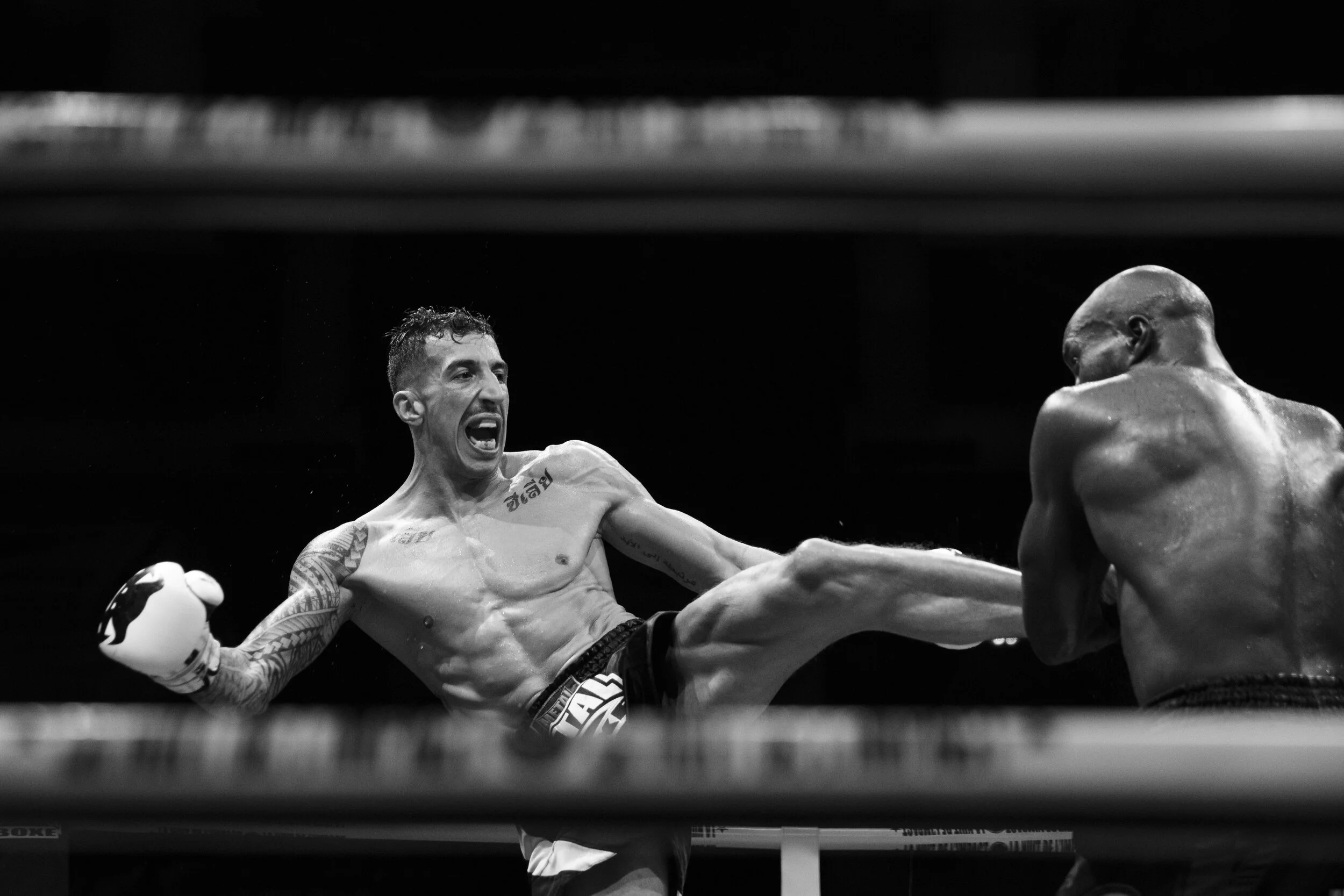 1W0A1599 copie-min.jpg