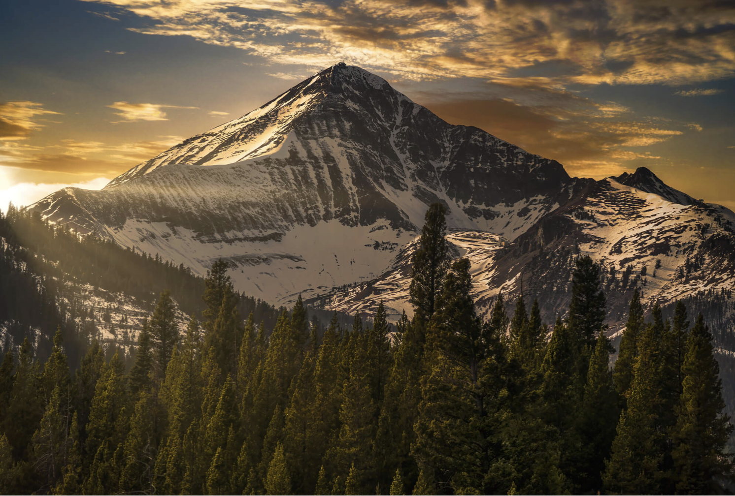 Screen Shot 2022-06-09 at 8.51.49 AM.png