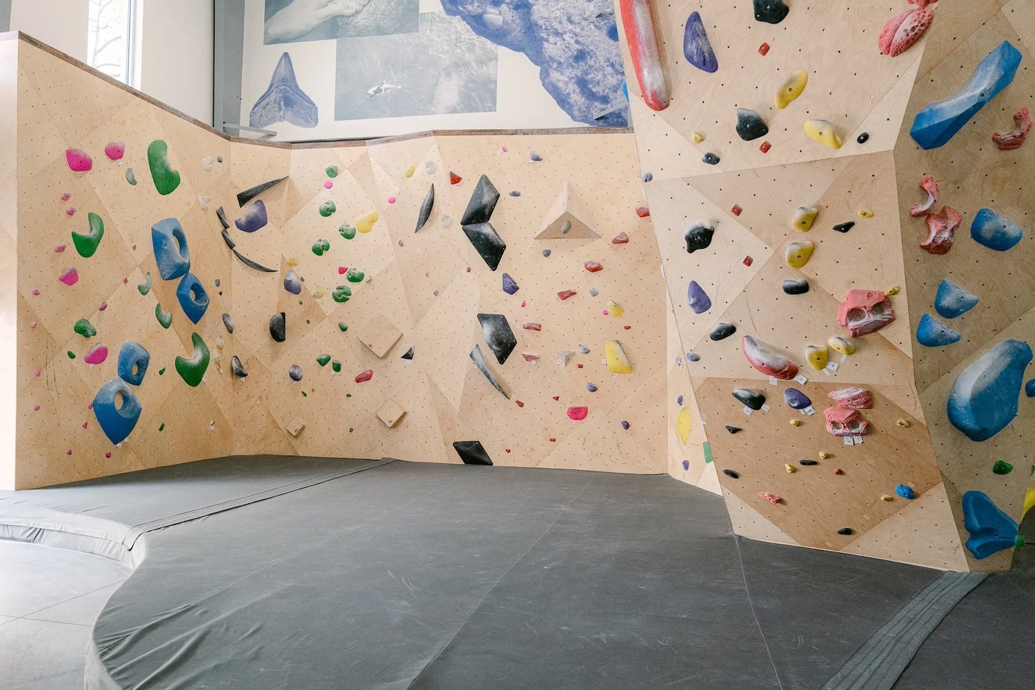Saint Augustine Bouldering Walls