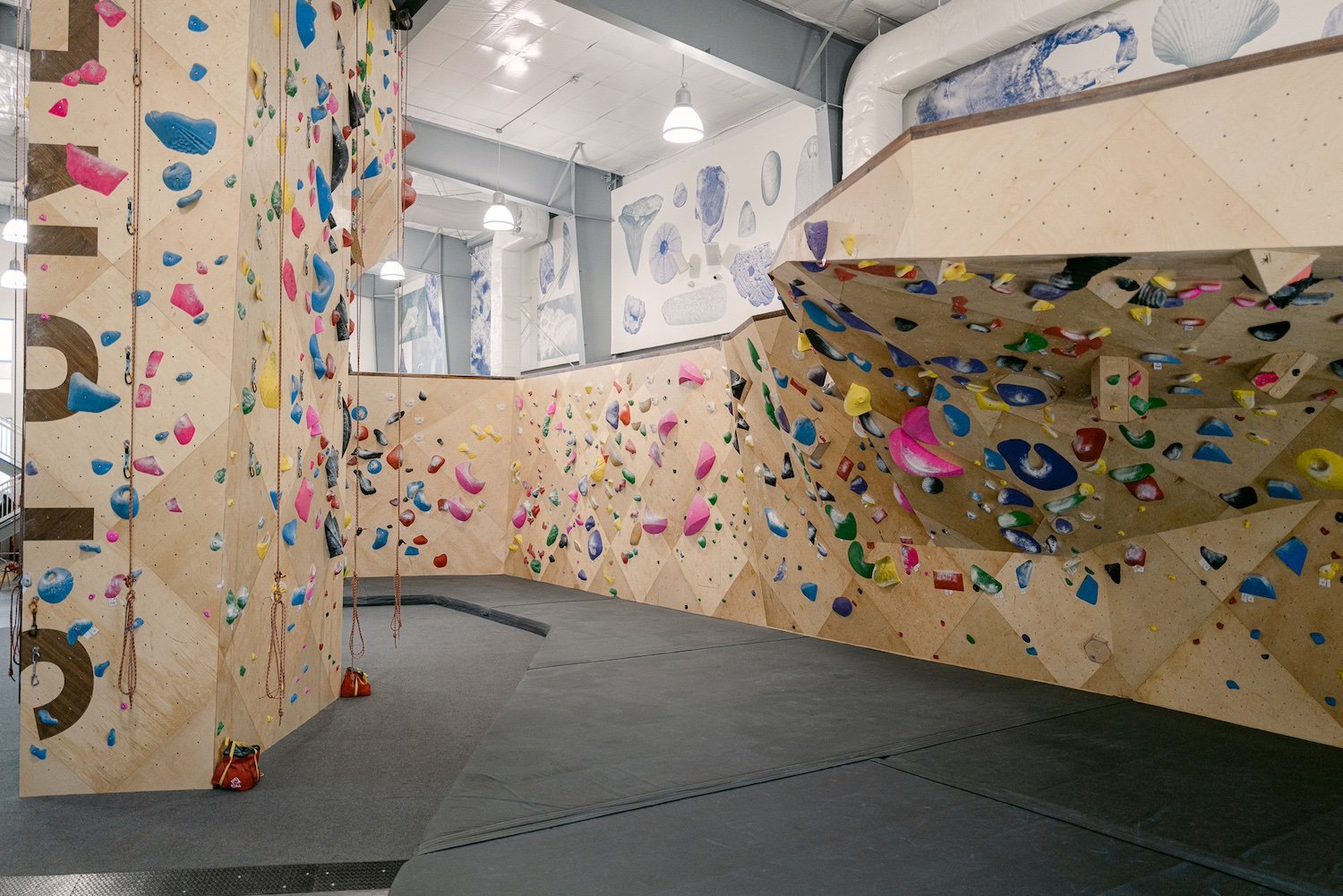 Saint Augustine Climbing Gym