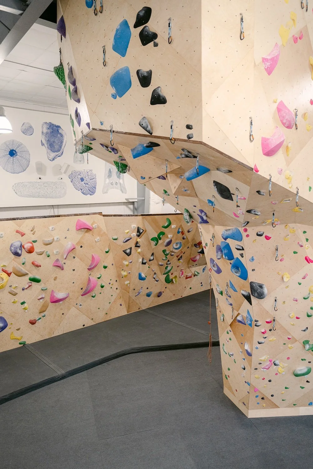 Lead Climbing Wall