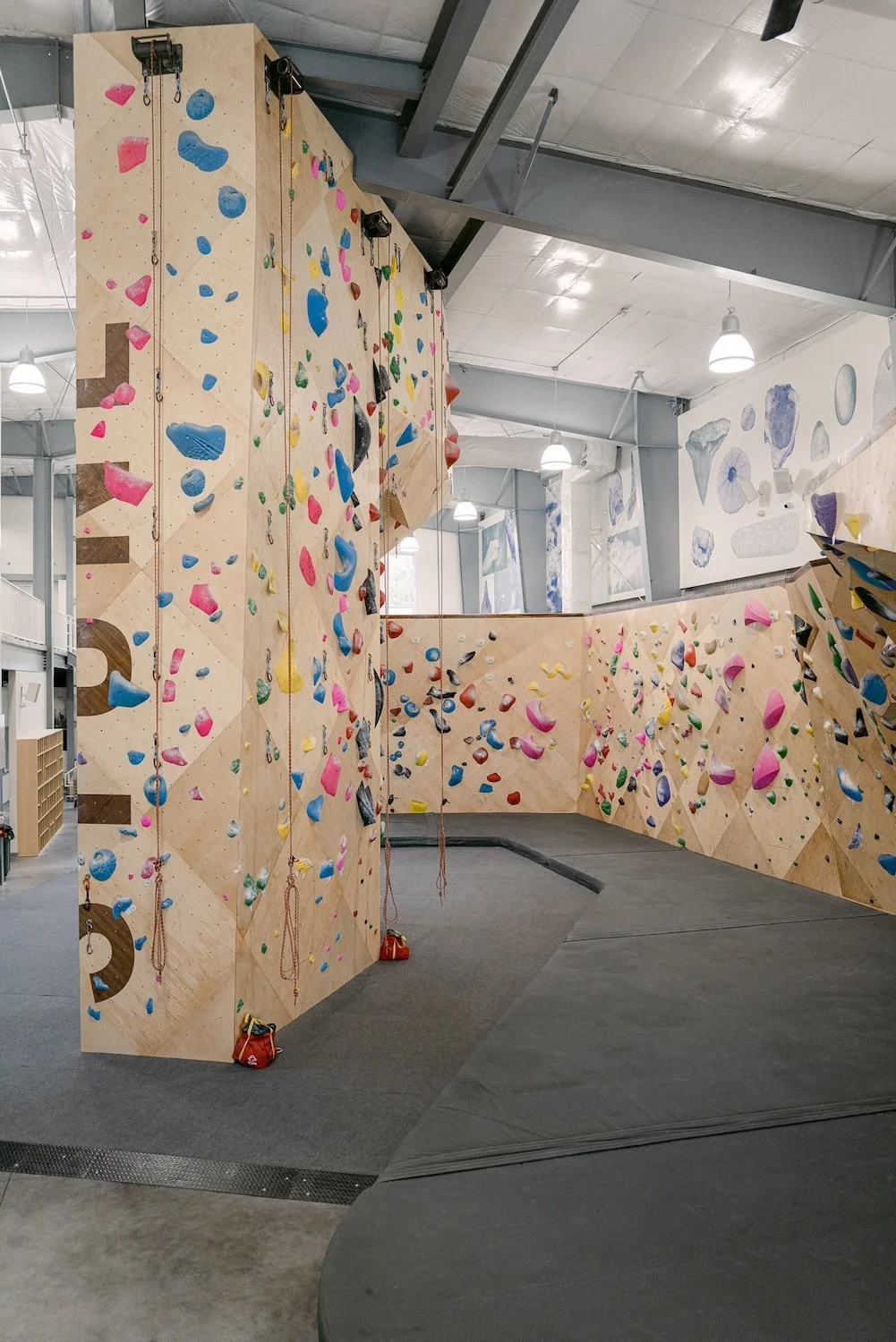 Climbing Gym Saint Augustine