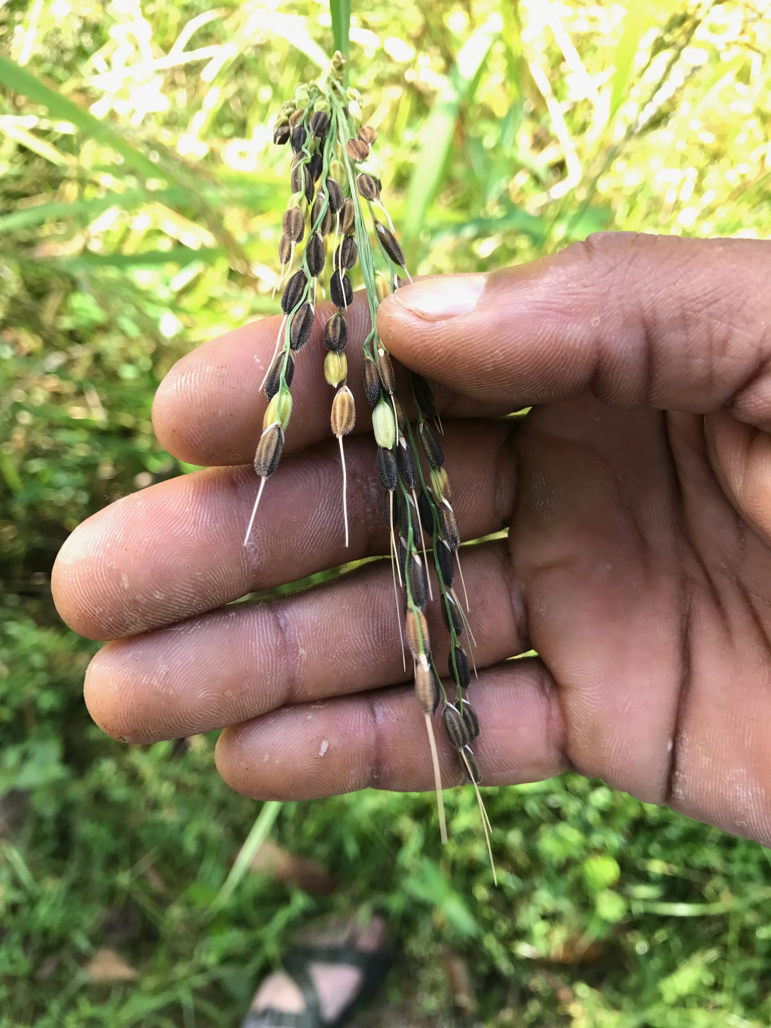 You are what you eat