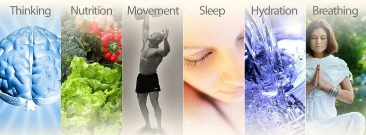 6 foundation principles.jpg