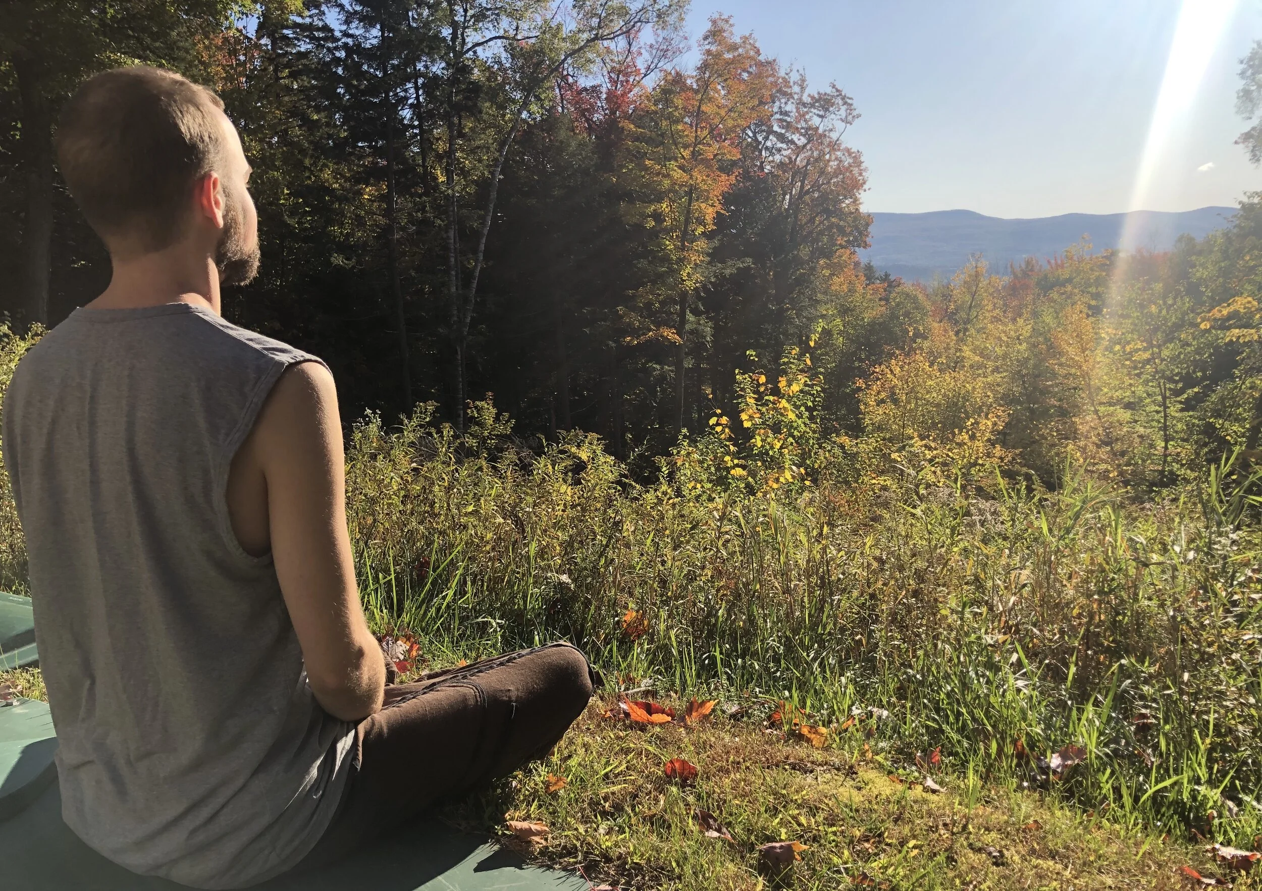 Lower Stress &amp; Improve Immune Health