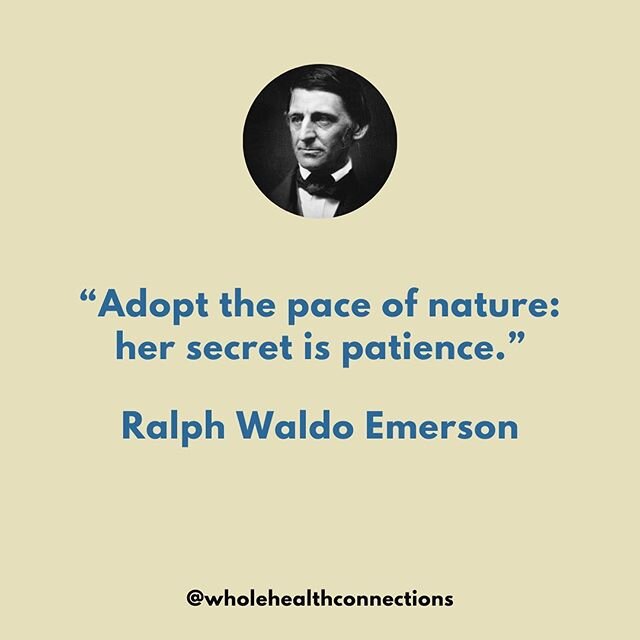 Patience, persistence, consistency.

This is the key to sustainable health and happiness.

Get outside and observe the world of nature, there is no rush.

Grow something.
-Watching a seed grow into a plant is a great reminder of patience, persistence