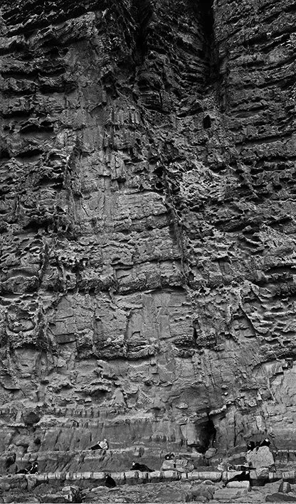 Precipice, 2011.
