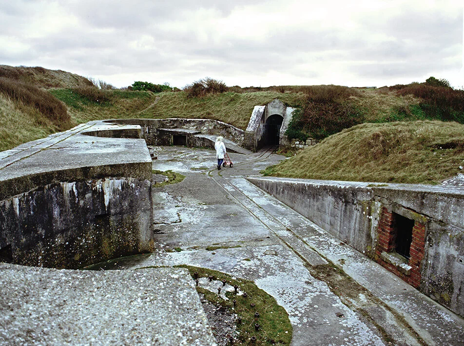 Labyrinth of the artist