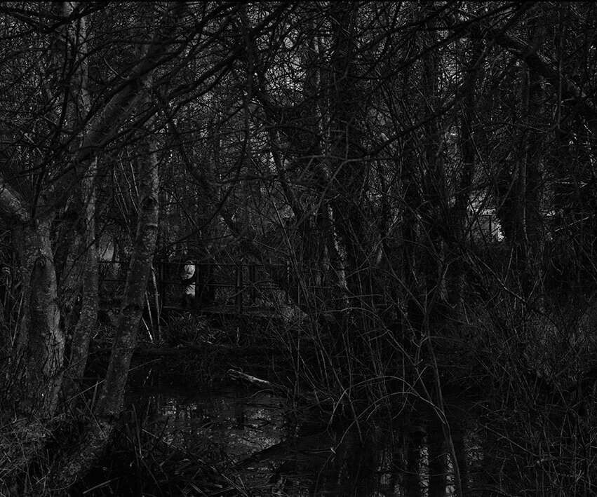 Bridge over the River Brit, 2010.