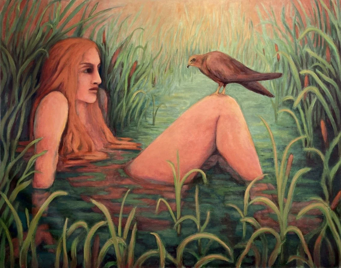 marsh harrier copy.jpg