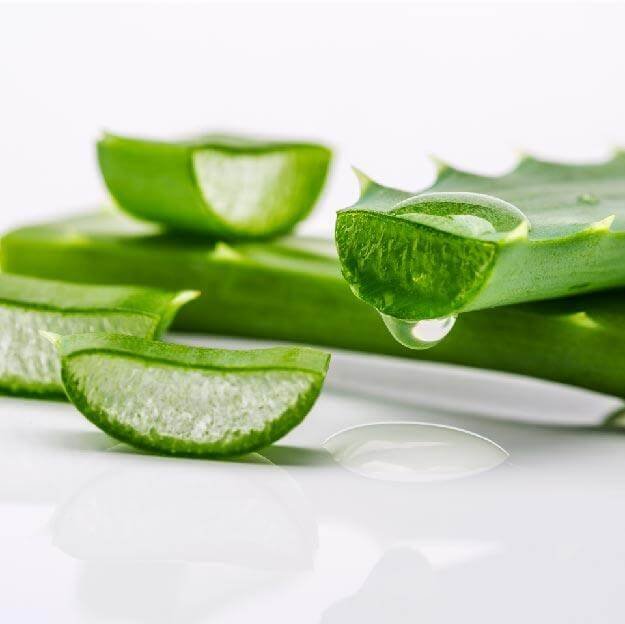 aloe-vera-qld-itch-treatment_5000x.jpeg