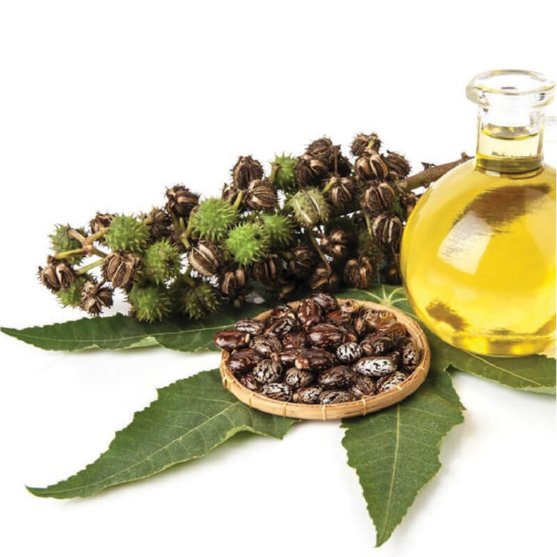 horse-hoof-treatment-with-castor-oil_5000x.jpeg