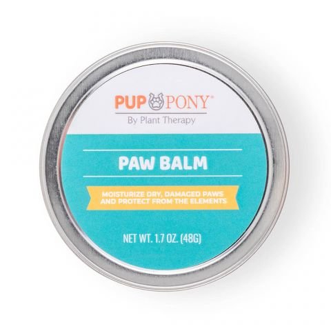 Paw Balm for Paw Protection