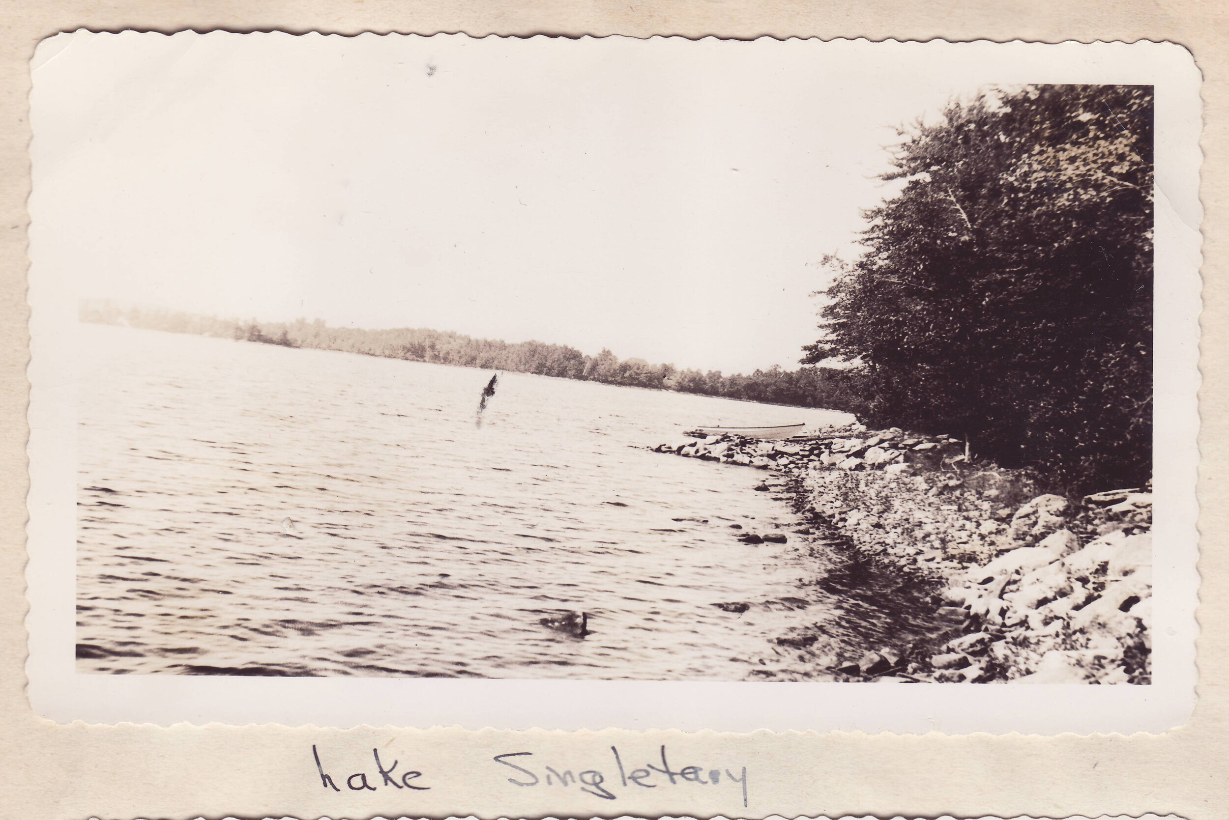 Lake Singletary 1.jpg