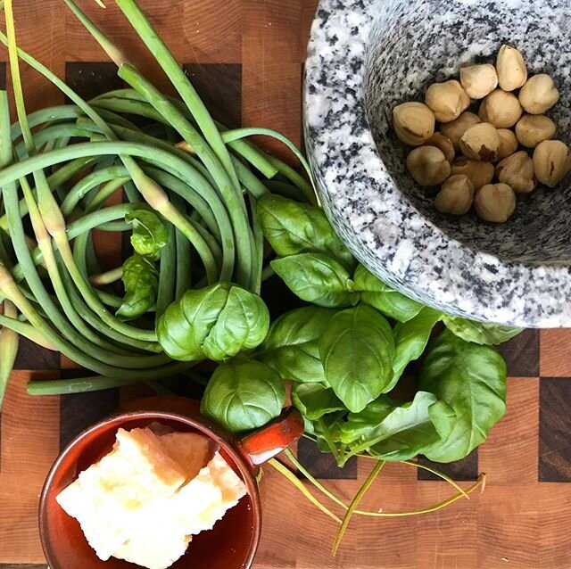 Garlic scape pesto 💚

To make it, blend the following in a food processor:
-10 large scapes -a large handful of basil -1/3 C toasted nuts (we used hazelnuts) -1/3 C finely grated parmesan cheese -salt and pepper 🌱 
Then, with the food processor run