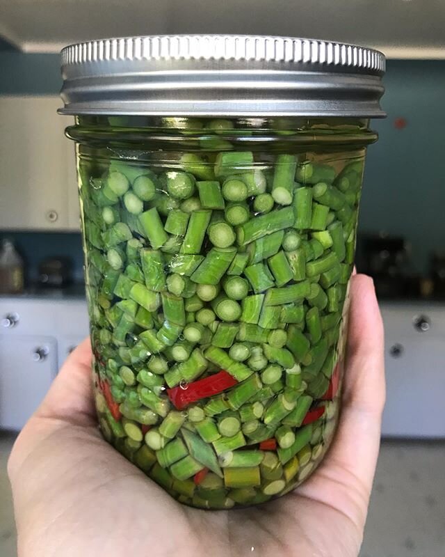 We&rsquo;re experimenting with the different ways of preserving scapes! How do you like to eat your scapes? 
#garlicscapeseason #garlicscapepickles #foodpreservation #garlicfarming