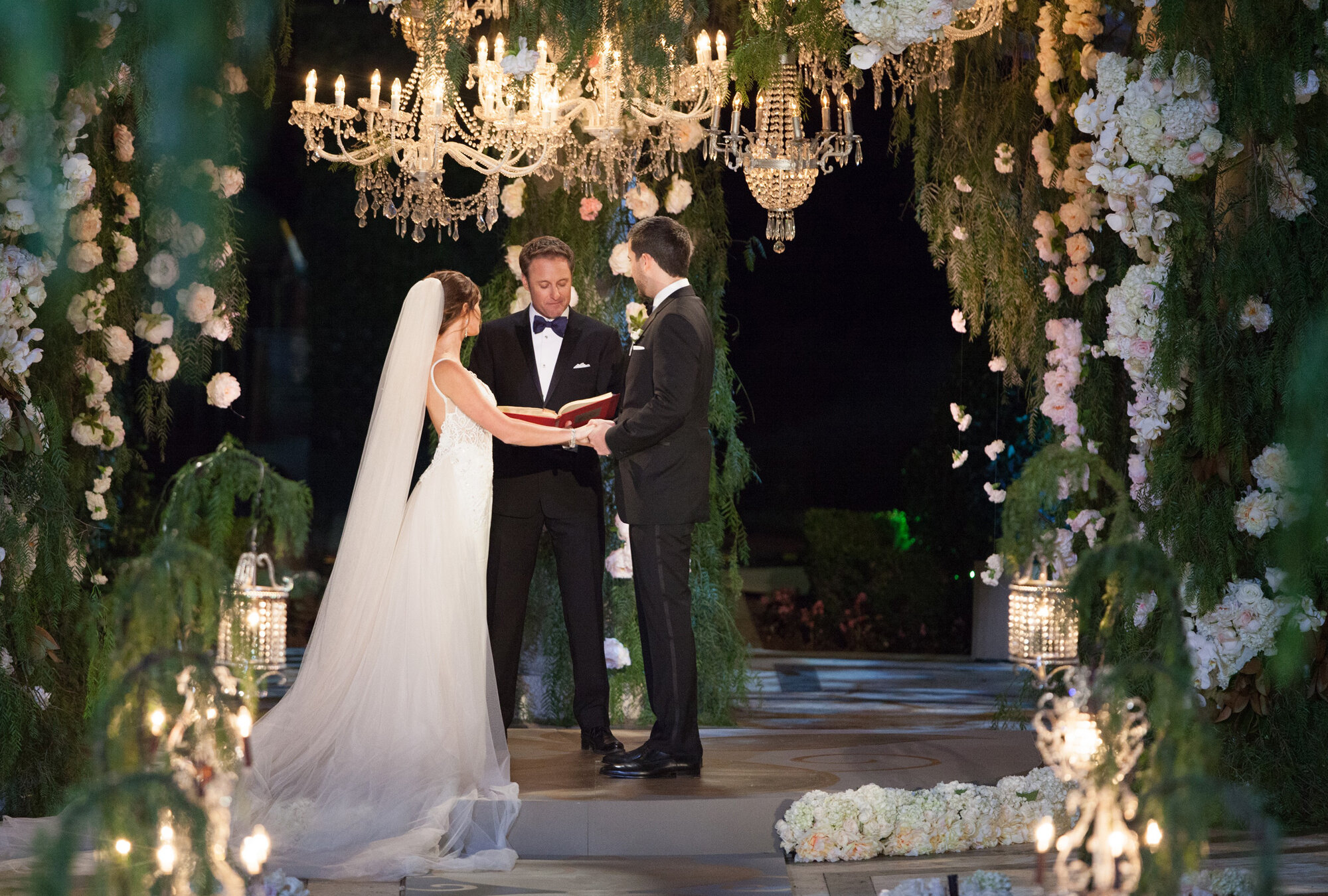 banner_chris_harrison_2.jpg