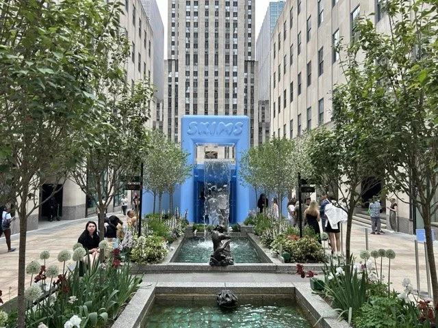 IMG_2250 Medium.jpeg