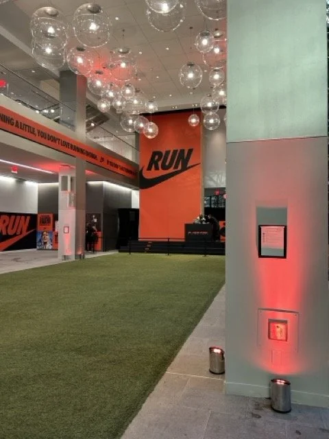 IMG_8528 2 Medium.jpeg