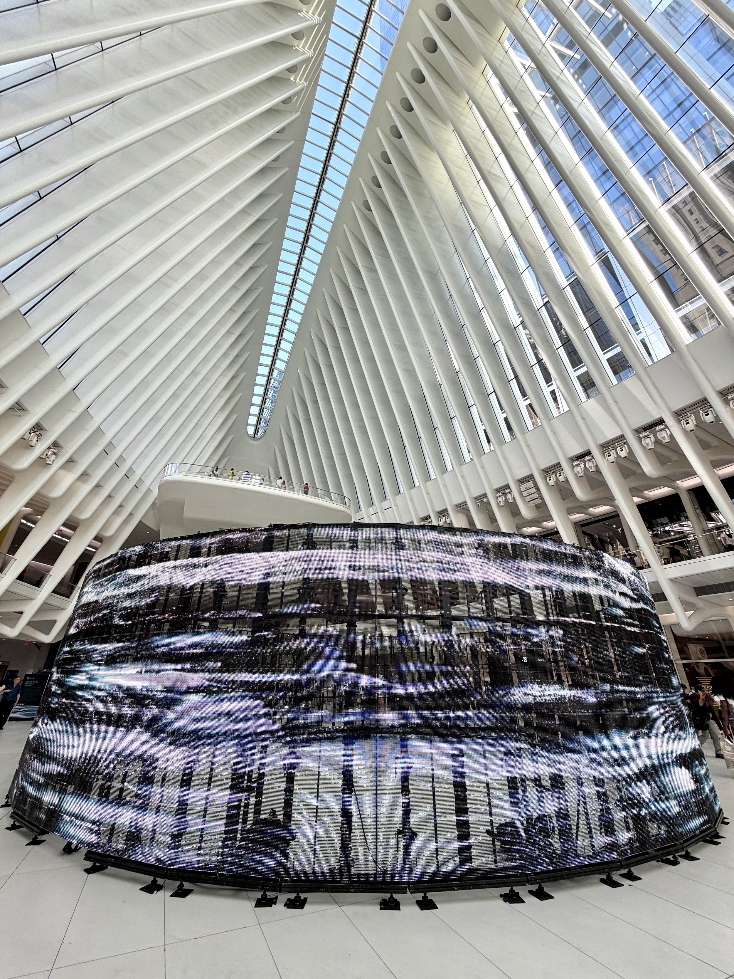 IMG_4854 4.jpg