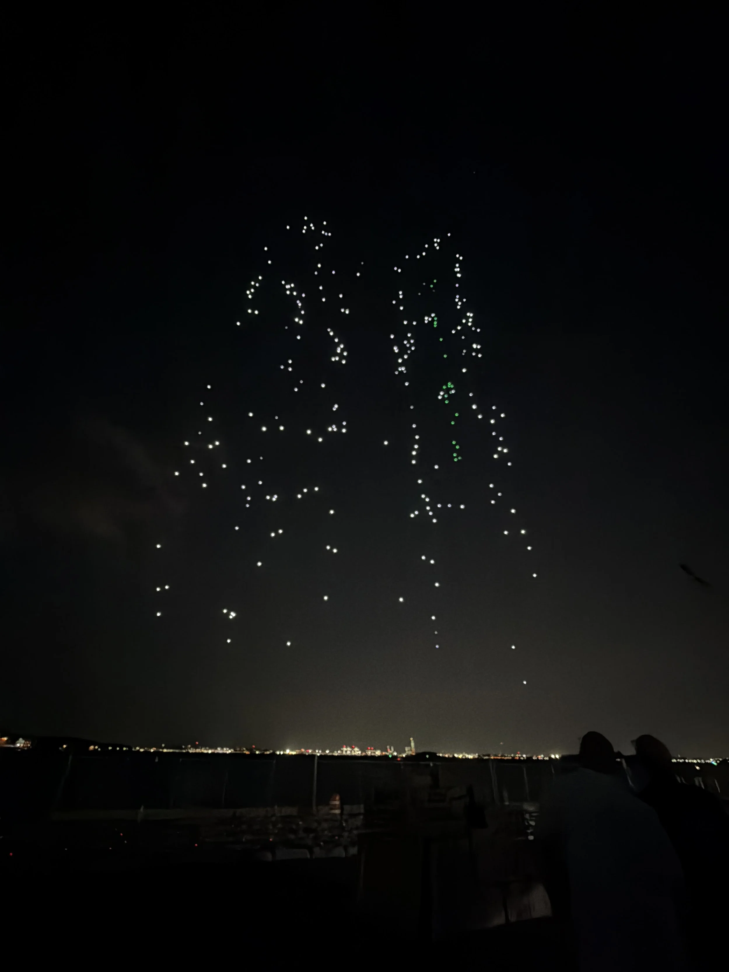 IMG_9877.JPG