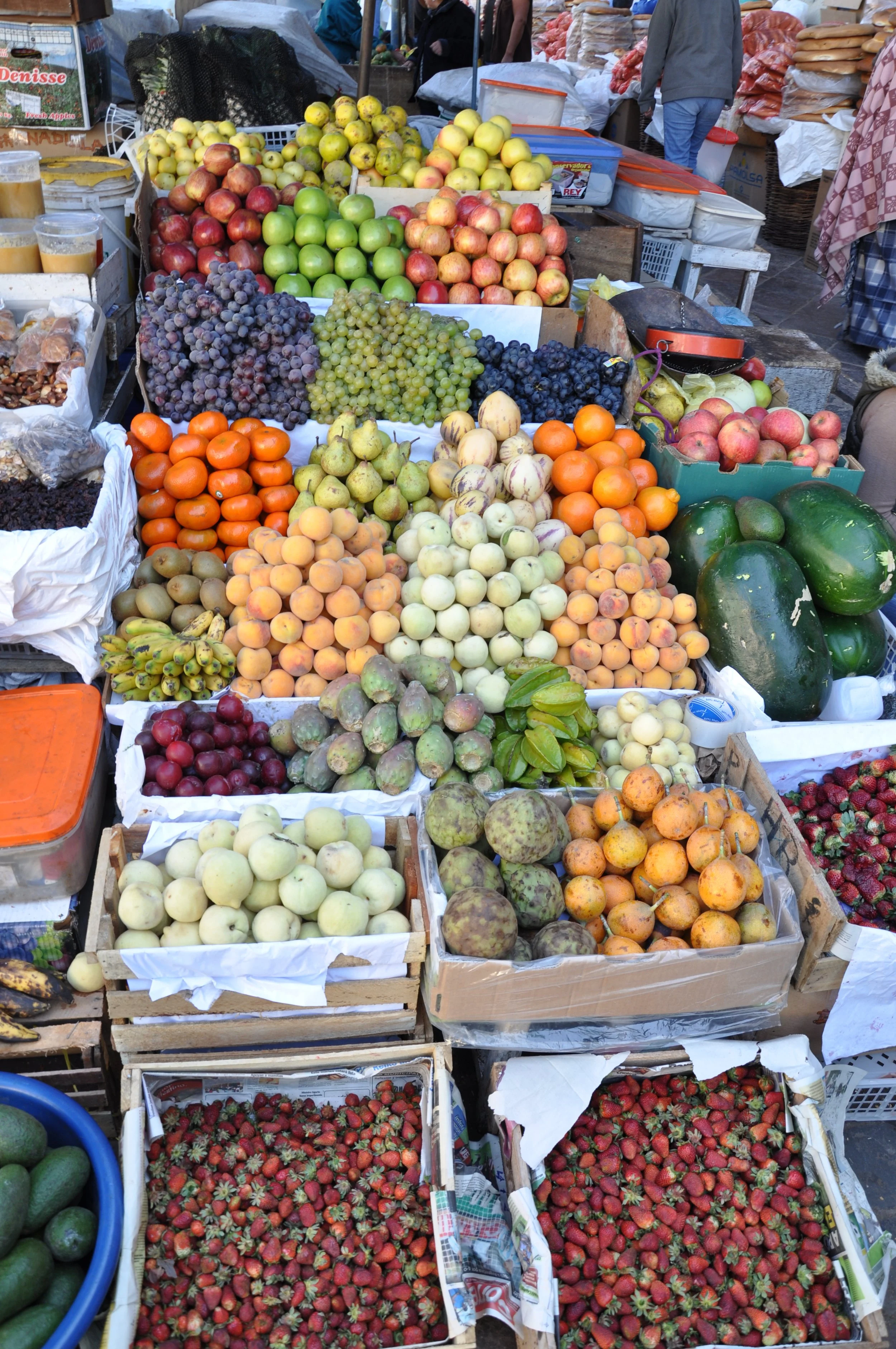 DSC_0743.JPG