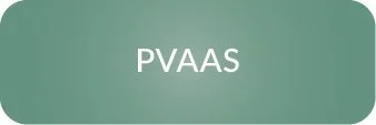 button-pvaas.jpg