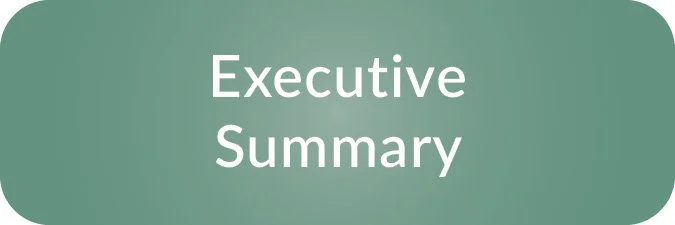 button2-execsummary.jpg