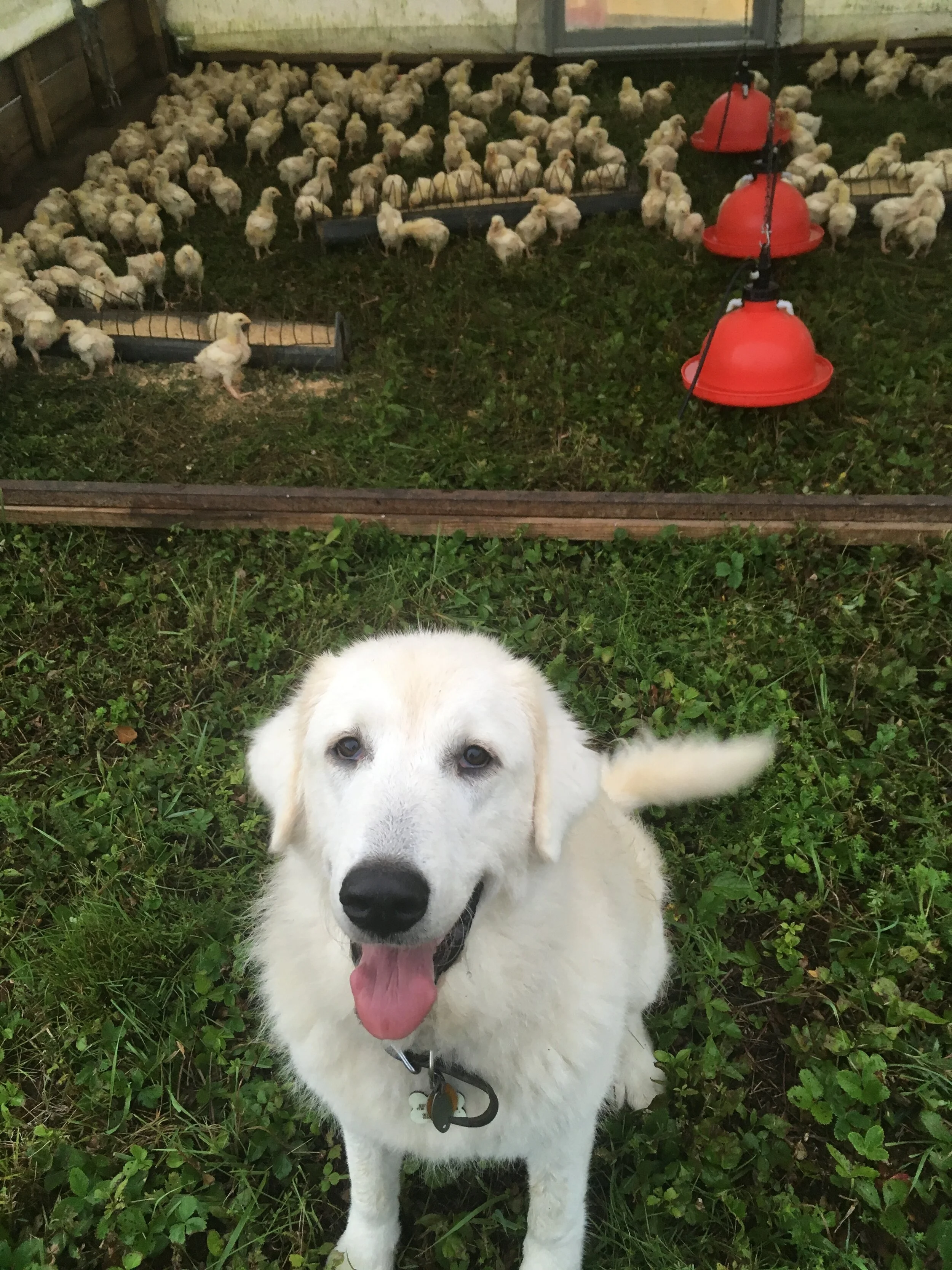 Michael Yund - IMG_0320.JPG