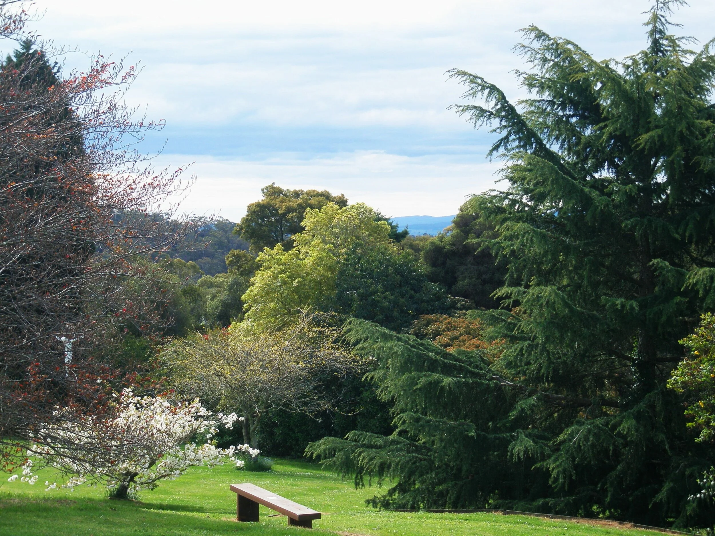 Spring+from+Novitiate+001.jpg