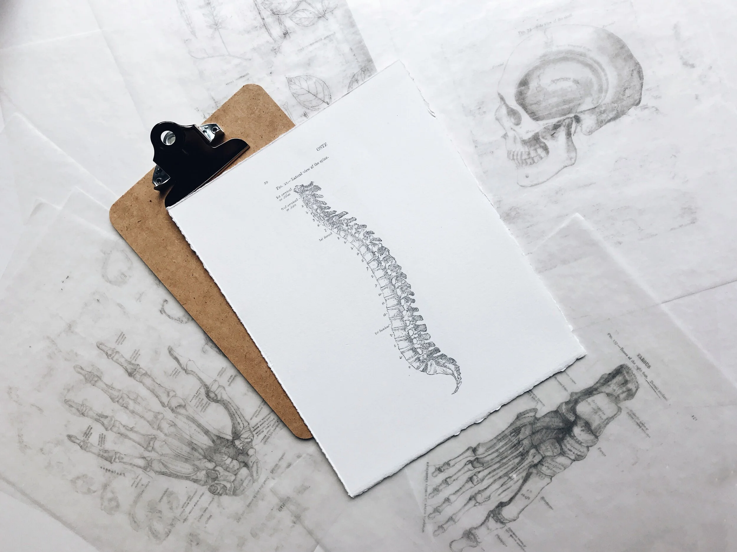 This month’s question:&nbsp; What causes “clicking” in my back during certain twisting movements in yoga?